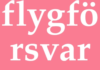 Synonym flygförsvar