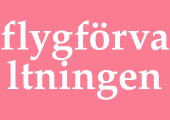 Synonym flygförvaltningen