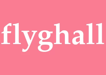 Synonym flyghall