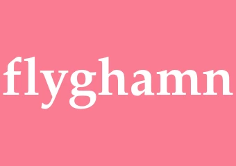 Synonym flyghamn