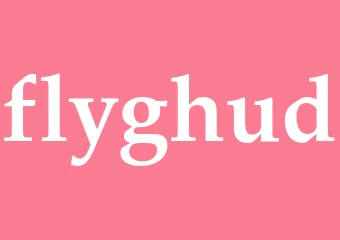 Synonym flyghud