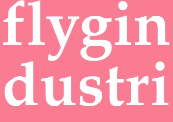 Synonym flygindustri