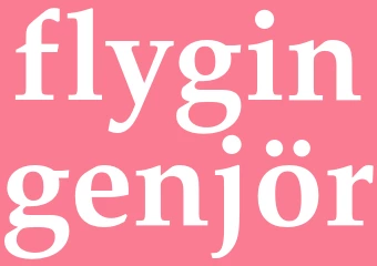 Synonym flygingenjör