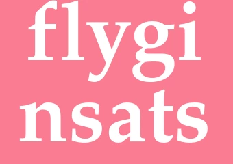 Synonym flyginsats