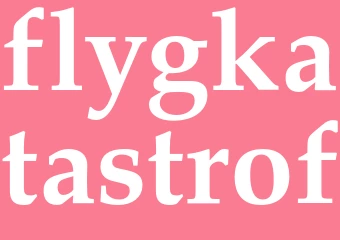 Synonym flygkatastrof