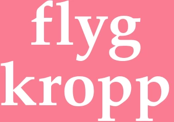 Synonym flygkropp