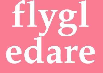 Synonym flygledare