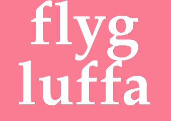 Synonym flygluffa