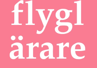 Synonym flyglärare