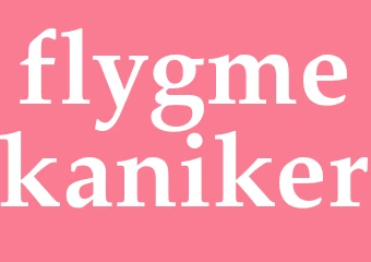 Synonym flygmekaniker