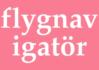Synonym flygnavigatör