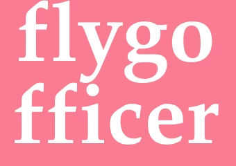 Synonym flygofficer