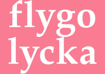 Synonym flygolycka