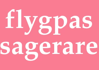 Synonym flygpassagerare