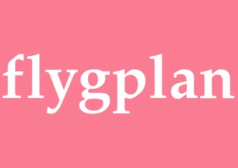 Synonym flygplan