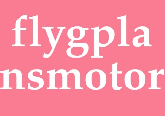 Synonym flygplansmotor