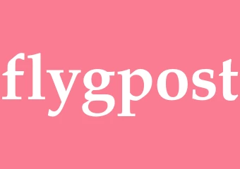 Synonym flygpost