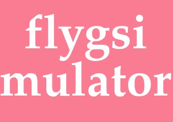 Synonym flygsimulator