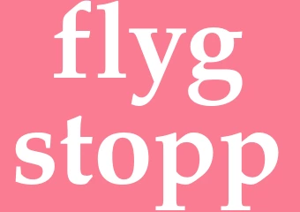 Synonym flygstopp