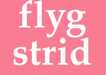 Synonym flygstrid
