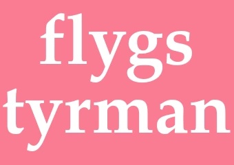 Synonym flygstyrman