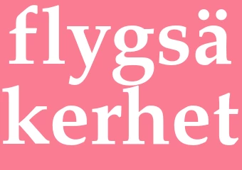 Synonym flygsäkerhet
