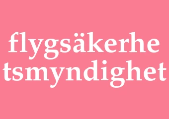 Synonym flygsäkerhetsmyndighet