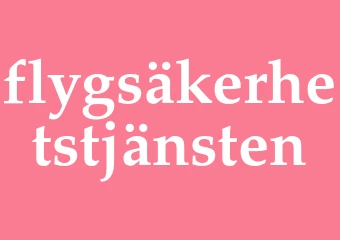 Synonym flygsäkerhetstjänsten