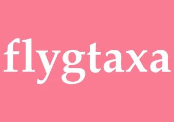 Synonym flygtaxa