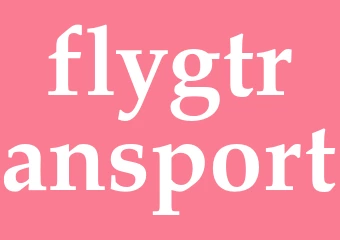 Synonym flygtransport