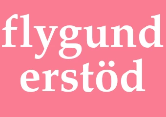 Synonym flygunderstöd