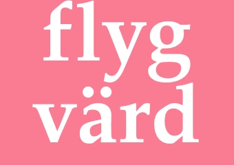 Synonym flygvärd