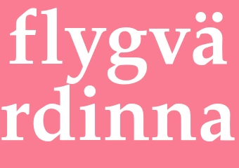Synonym flygvärdinna