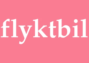 Synonym flyktbil