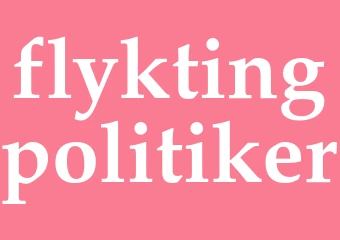 Synonym flyktingpolitiker