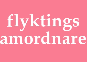Synonym flyktingsamordnare