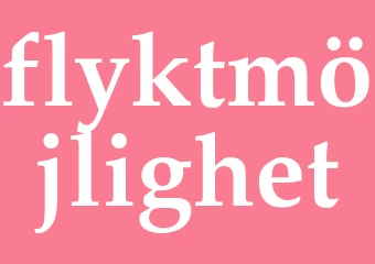 Synonym flyktmöjlighet