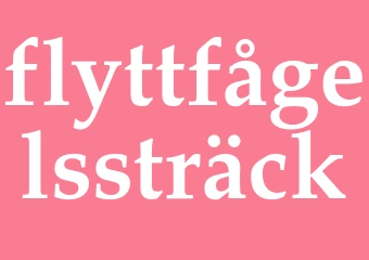 Synonym flyttfågelssträck