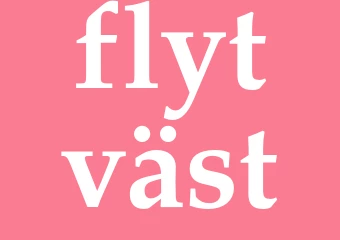 Synonym flytväst