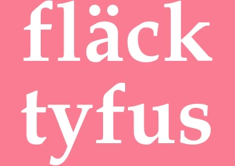 Synonym fläcktyfus