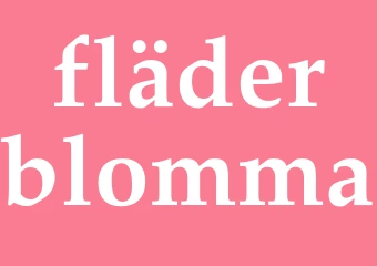 Synonym fläderblomma