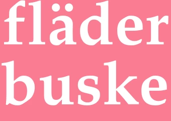 Synonym fläderbuske