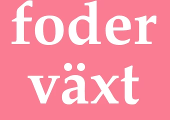 Synonym foderväxt