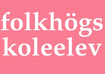Synonym folkhögskoleelev