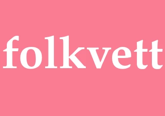 Synonym folkvett