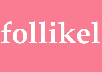 Synonym follikel