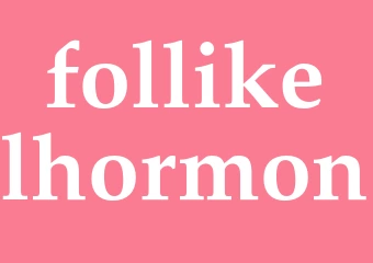 Synonym follikelhormon