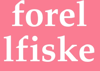 Synonym forellfiske