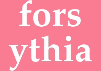 Synonym forsythia