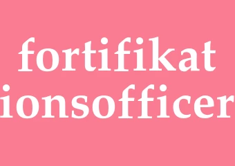 Synonym fortifikationsofficer